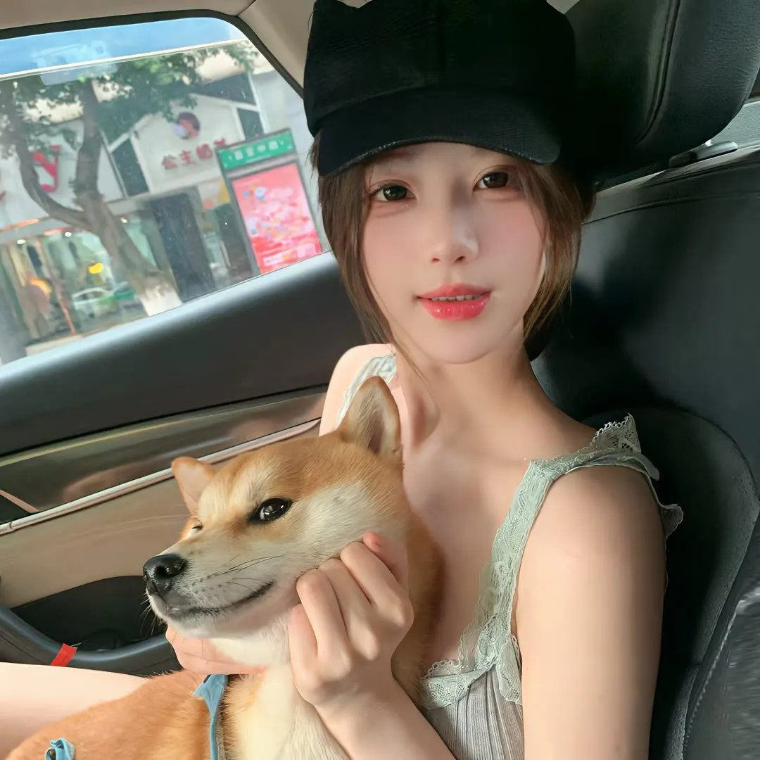 与森林共舞
